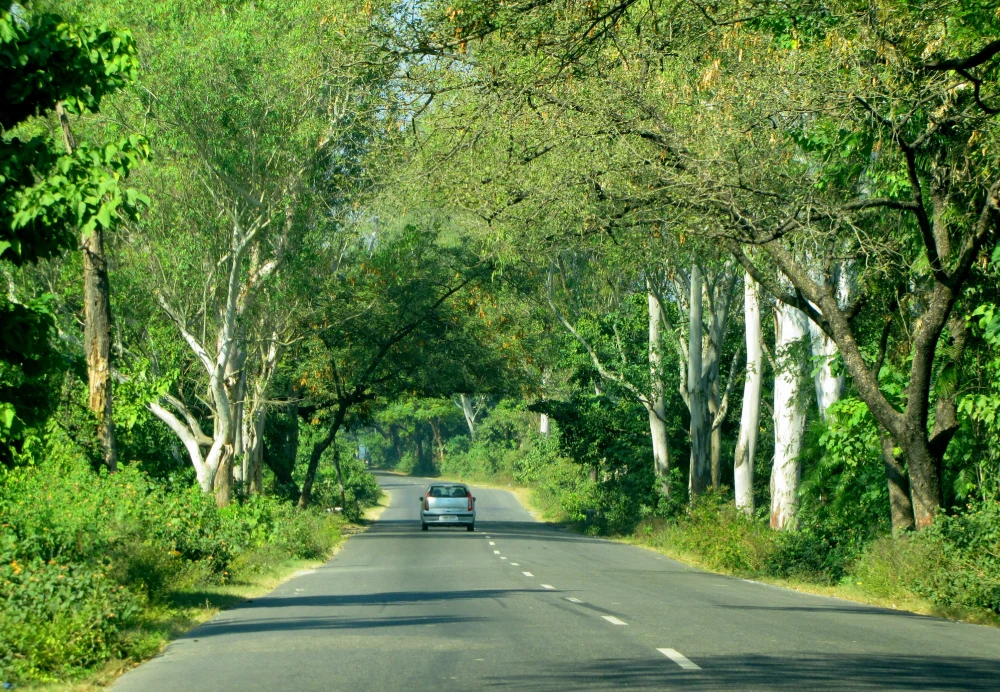 car on road